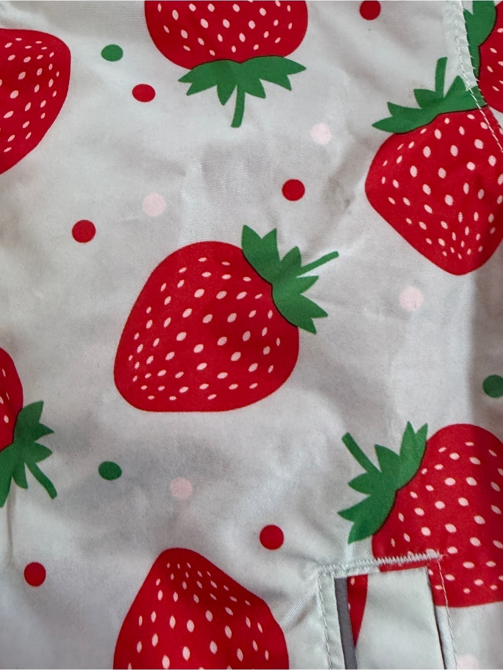 Lily & Dan Girls' Strawberry Print Hooded Rain Jacket - Red & Blue Sz 3T - Picture 2 of 6
